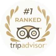 Altezza Travel, vinner av Tripadvisor Travellers' Choice-prisen 2026