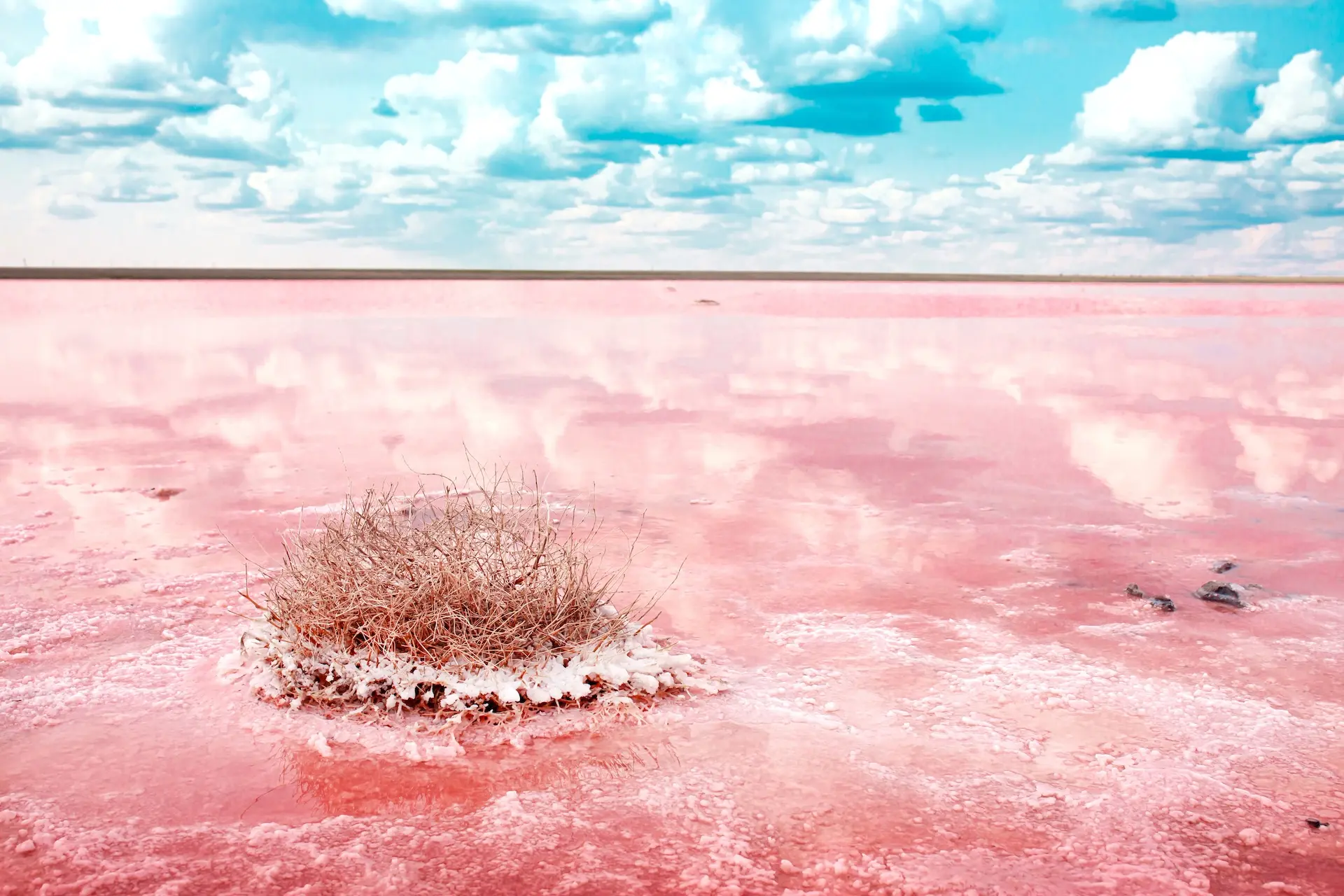 I tørketiden blir innsjøen rød og dekket av salt. Foto: Vera Larina / Shutterstock