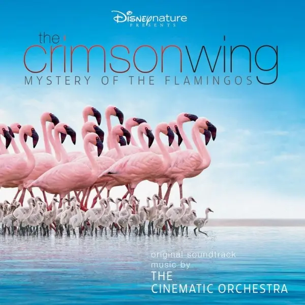 Omslag til dokumentaren “The Crimson Wing: Mystery of the Flamingos”