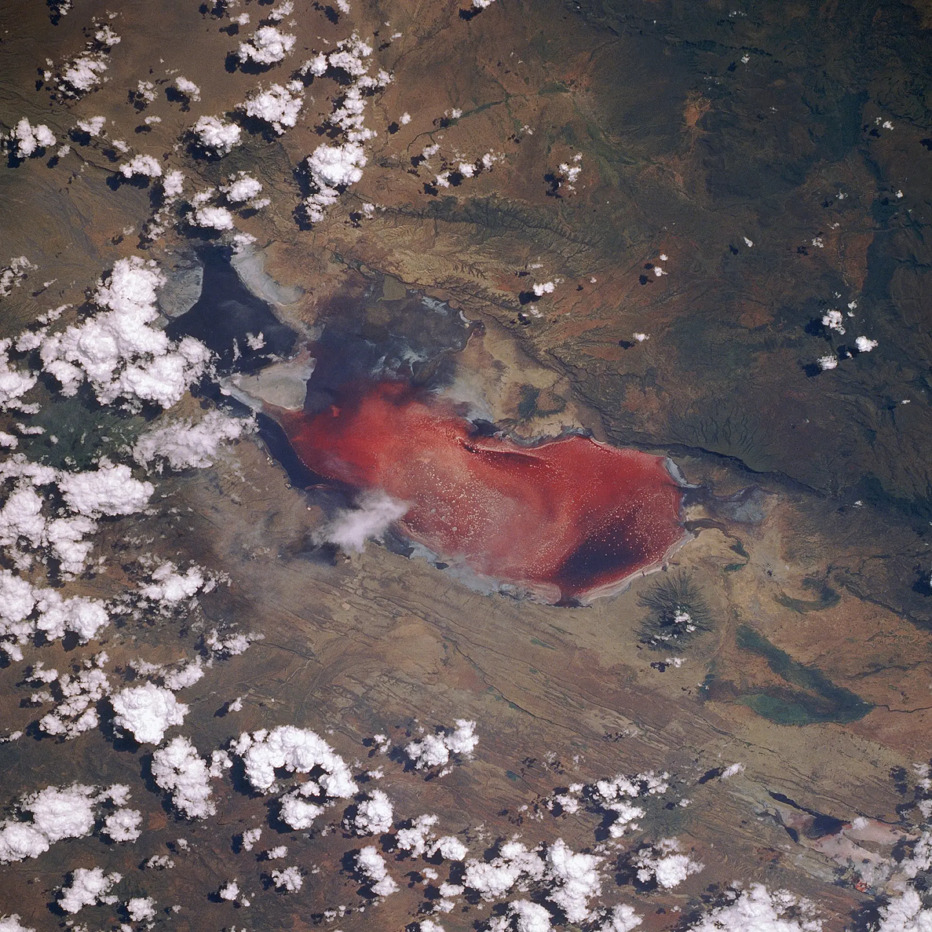 Natron-sjøen, noen ganger kalt «den dødelige røde innsjøen», sett fra romfergen Discovery under STS-29-ferden. Foto: NASA