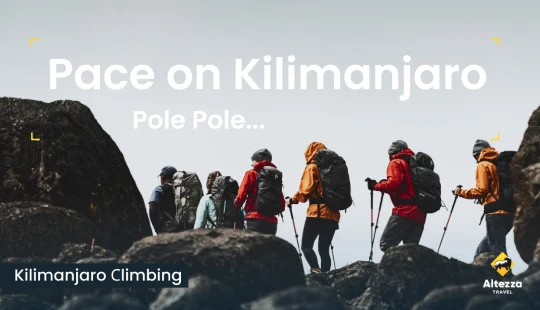 Finn riktig tempo på Kilimanjaro | Altezza Travel