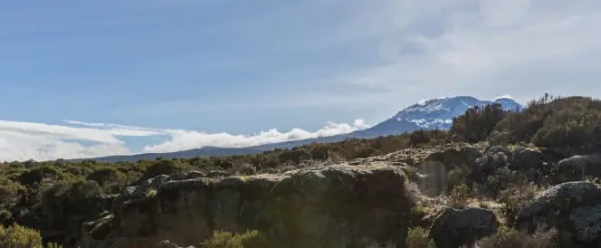Marangu-ruten - Dag 3 - Fottur fra Mandara Hut til Horombo Hut