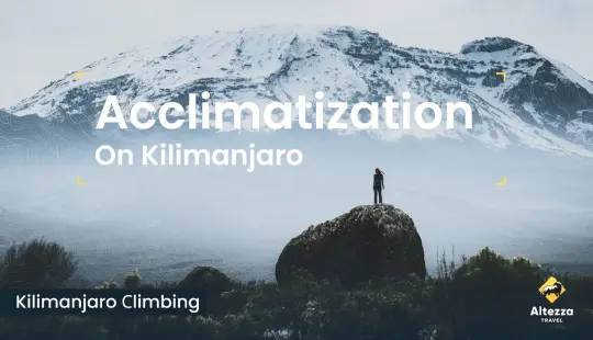 Akklimatisering på Kilimanjaro | Altezza Travel
