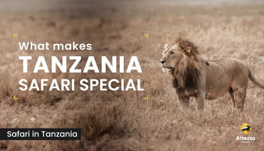 Hva gjør safari i Tanzania spesiell