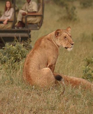 Serengeti nasjonalpark